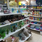 Канцелярия для всех